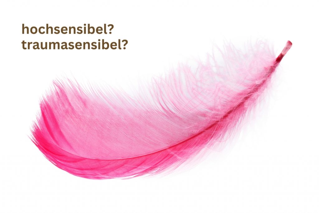 Hochsensibel, Traumasnesibel, Unterschiede, Gemeinsamkeiten